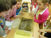 Přírodovědný program - Plazi a žáby